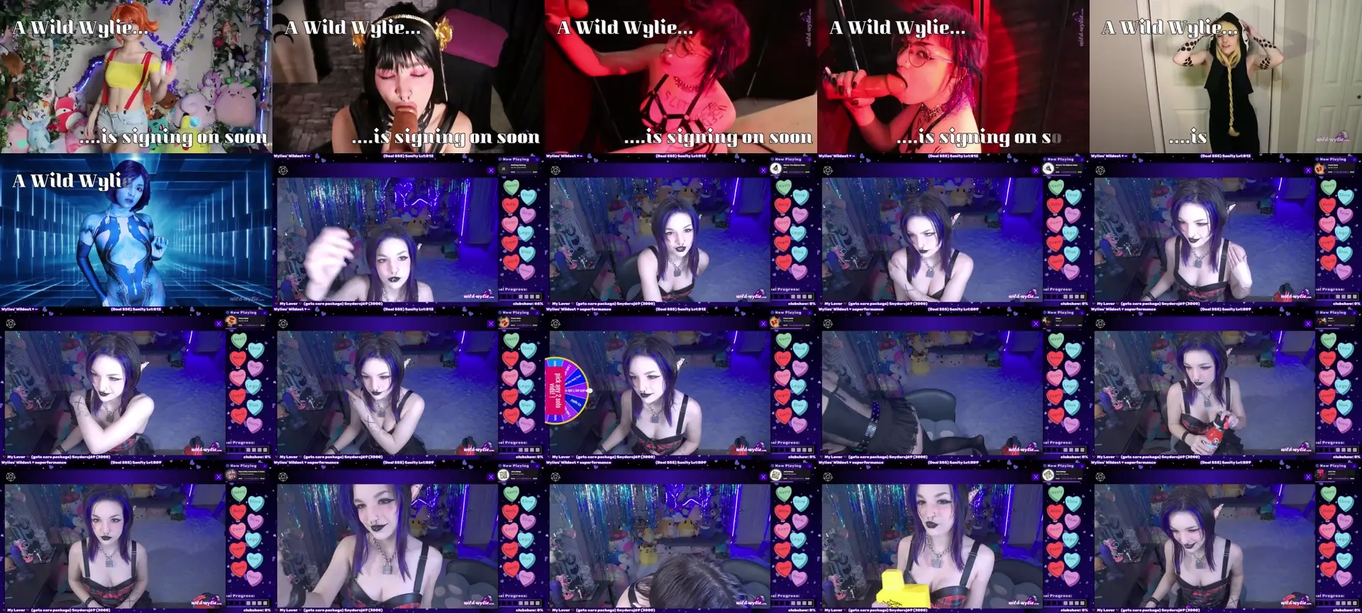 WildWyliePM photo contact sheet