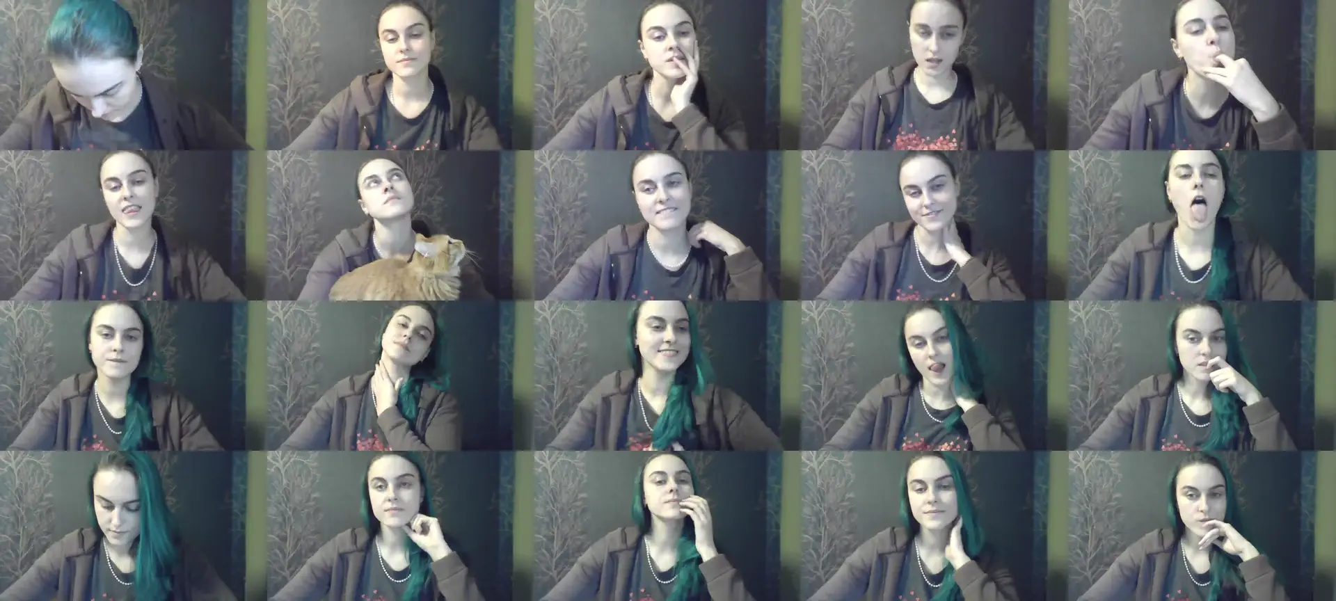 Bird_Blue photo contact sheet