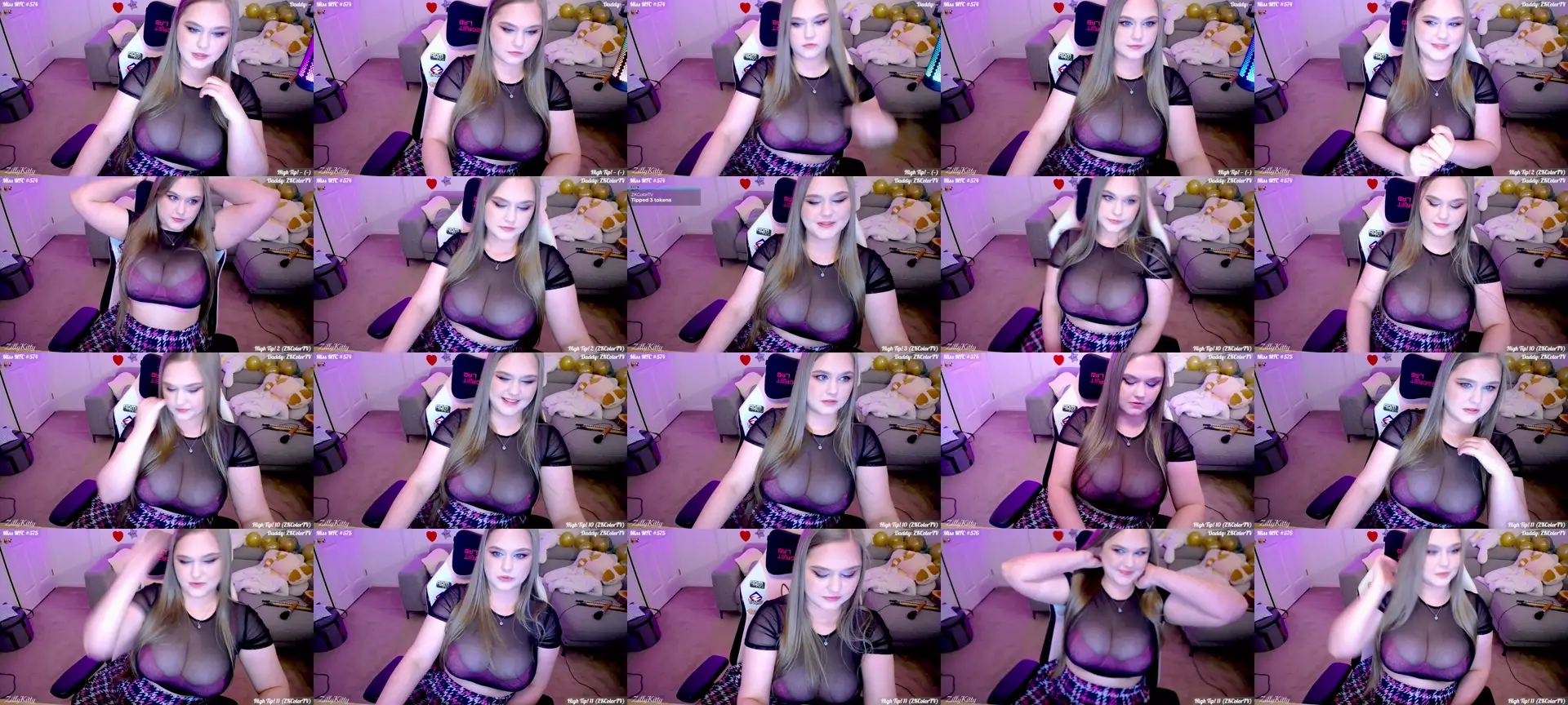 ZillyKitty photo contact sheet