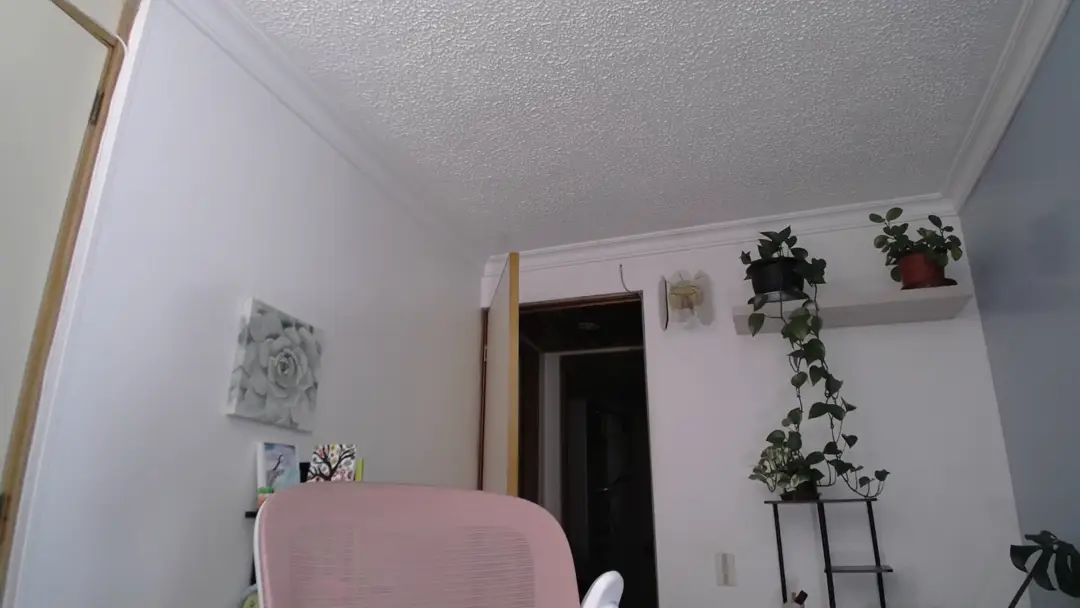 Video #8007 by Little_laksmi