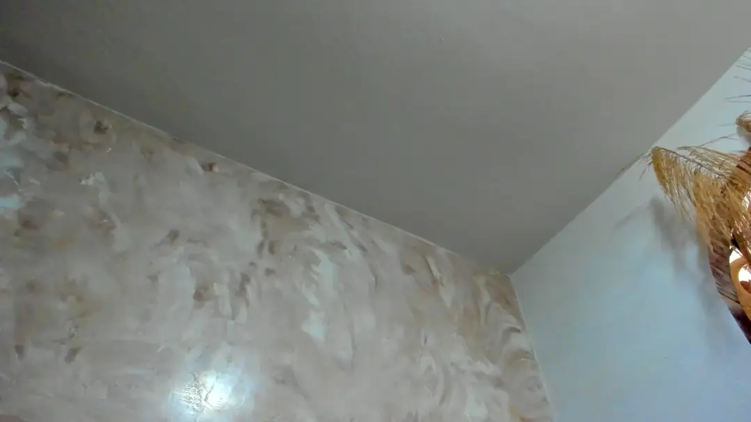 Video #8972