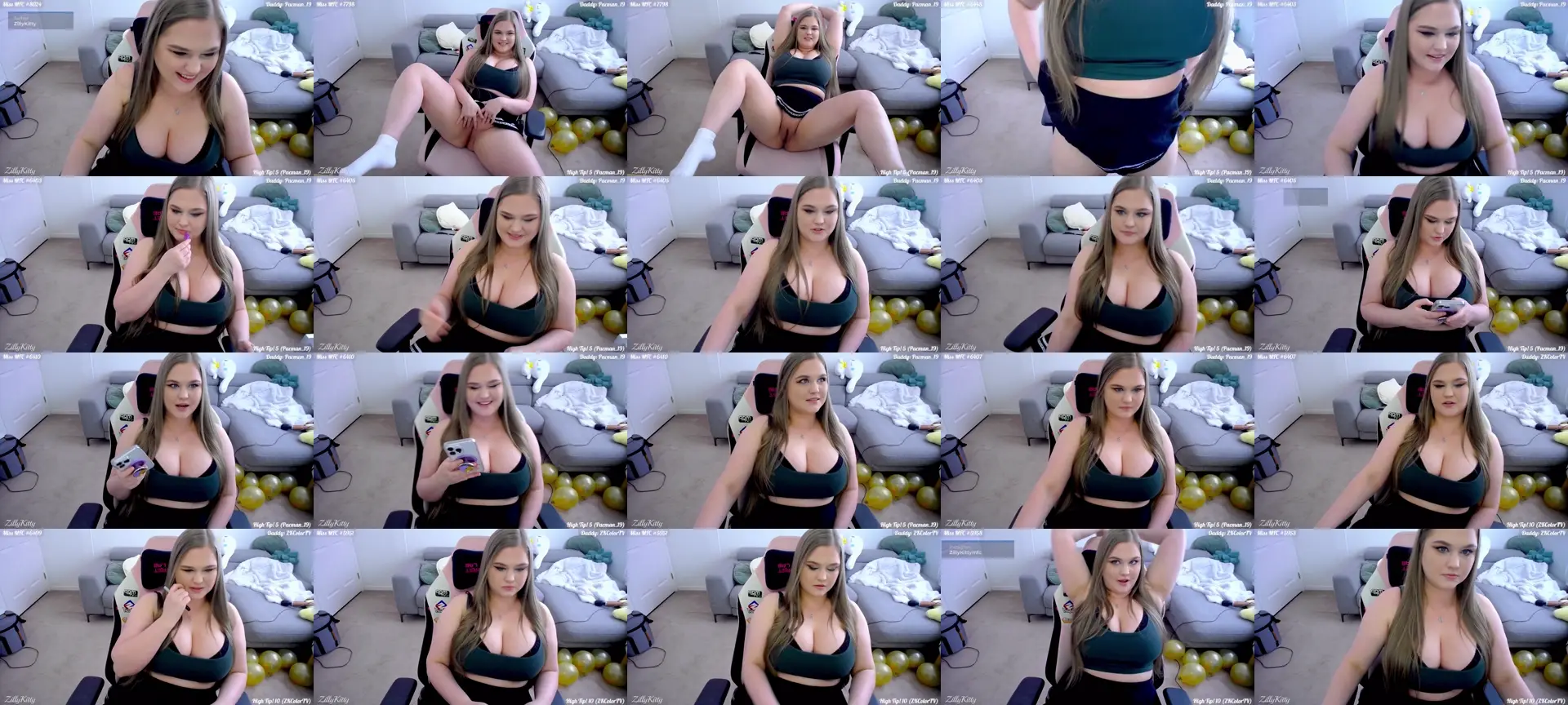 ZillyKitty photo contact sheet