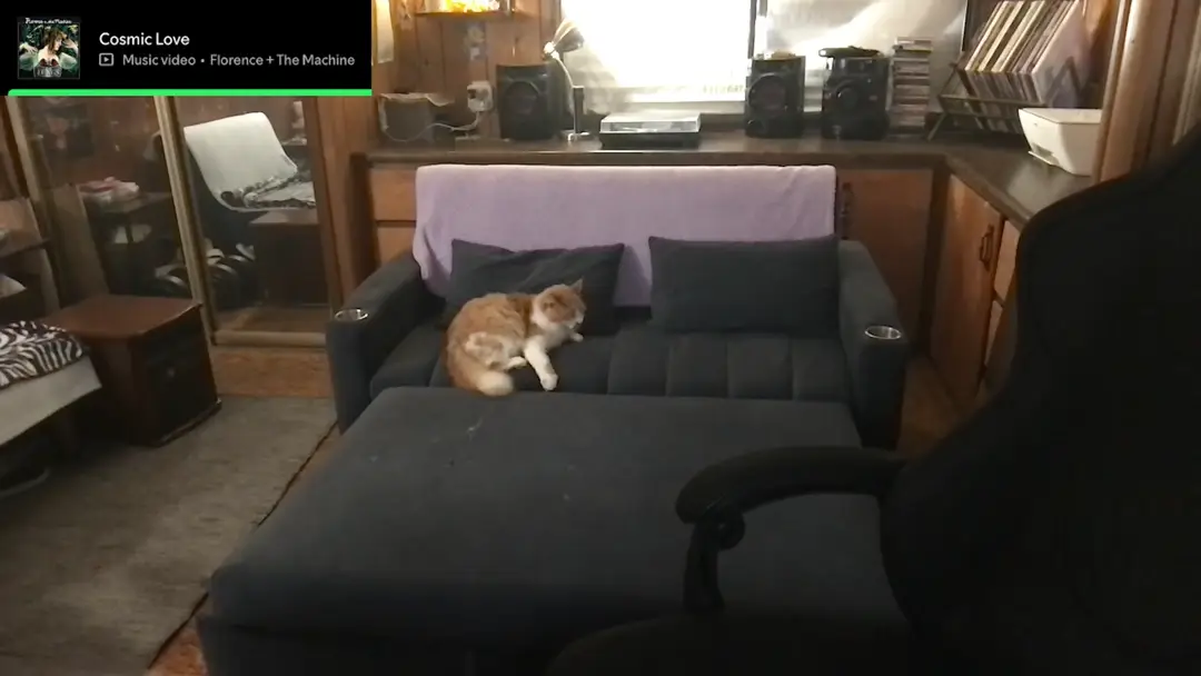 Incognitobabe show preview