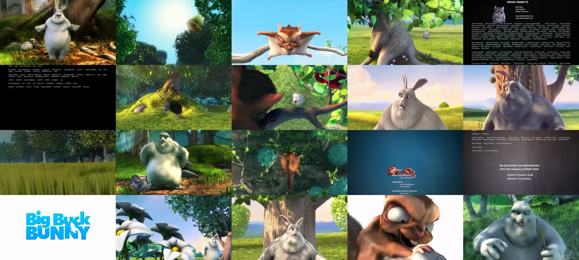 TestCam99 photo contact sheet