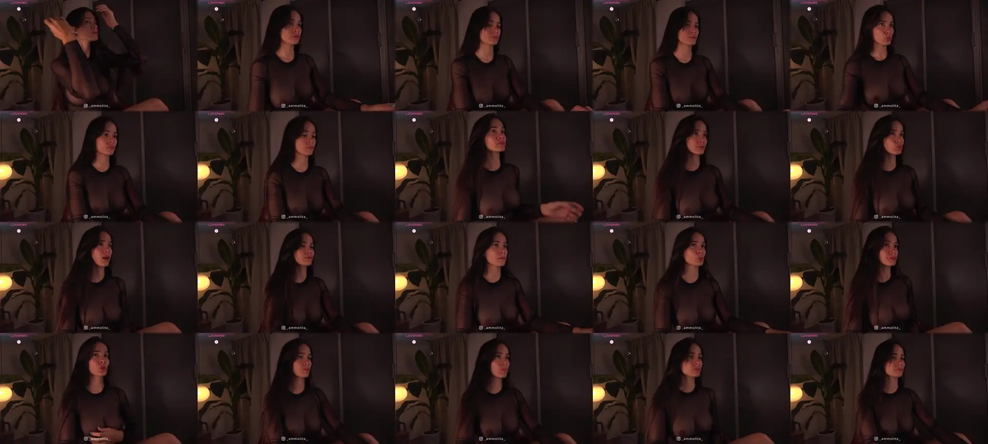 Ammolita photo contact sheet