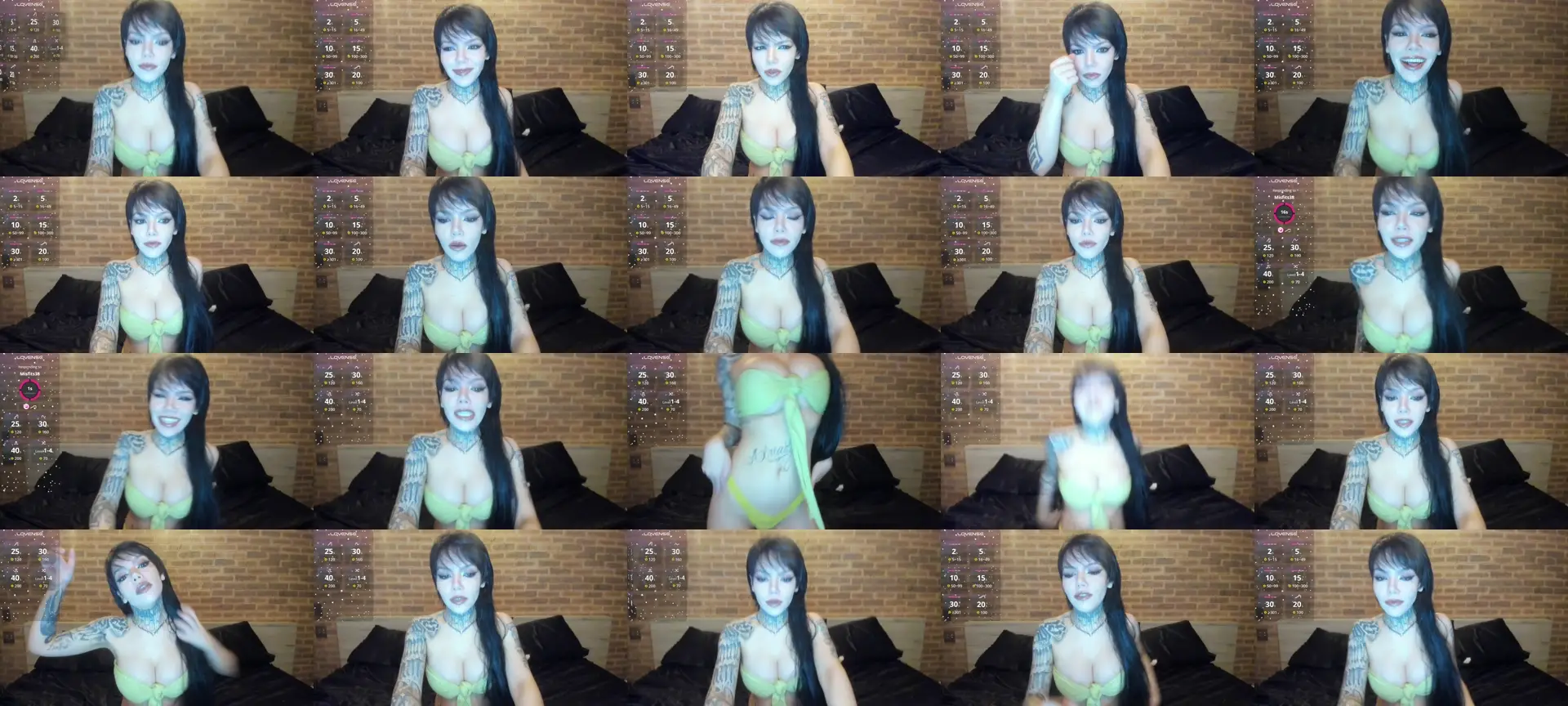 satAMYc photo contact sheet