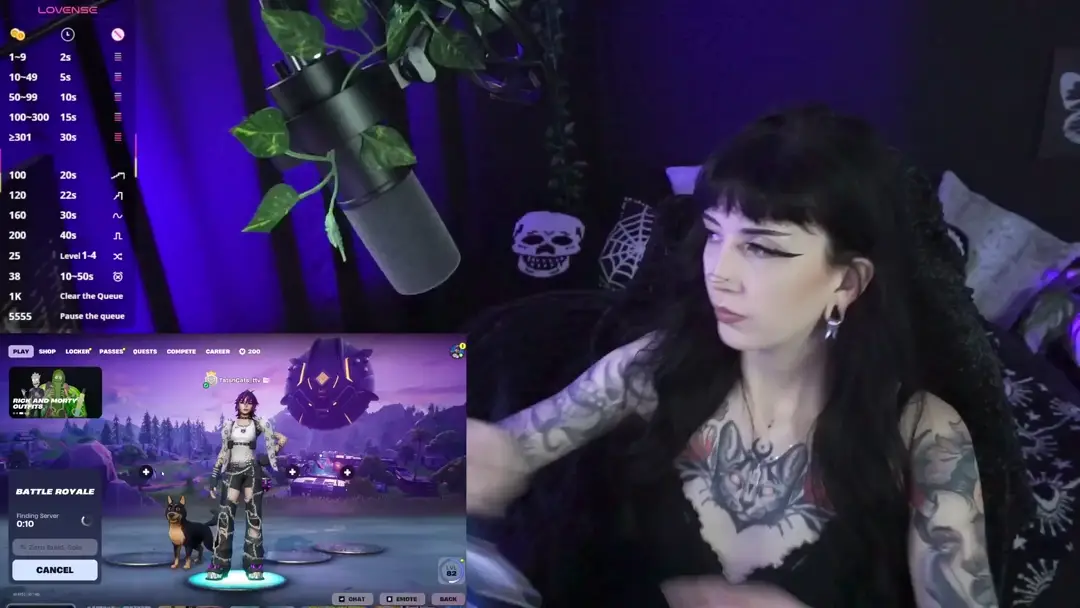 TatsnCats show preview