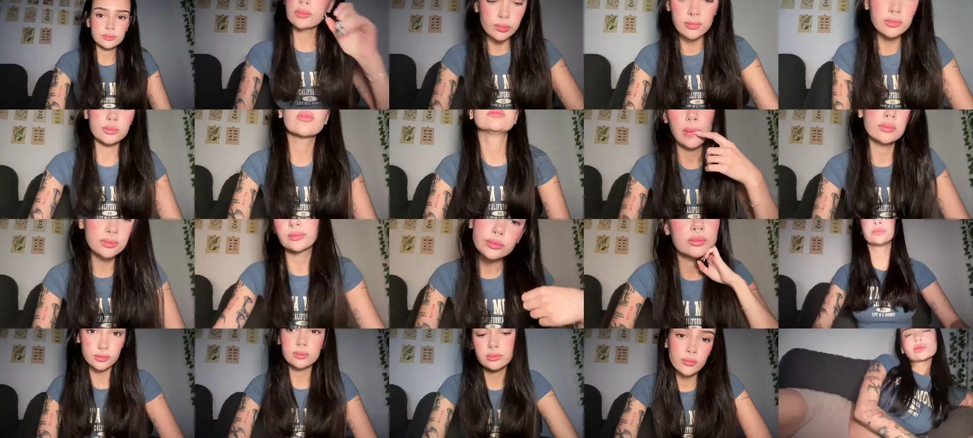 mayflowers photo contact sheet