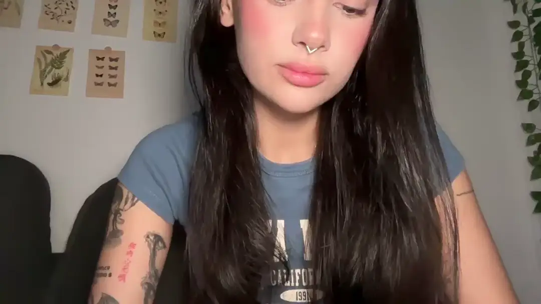 mayflowers video #18942