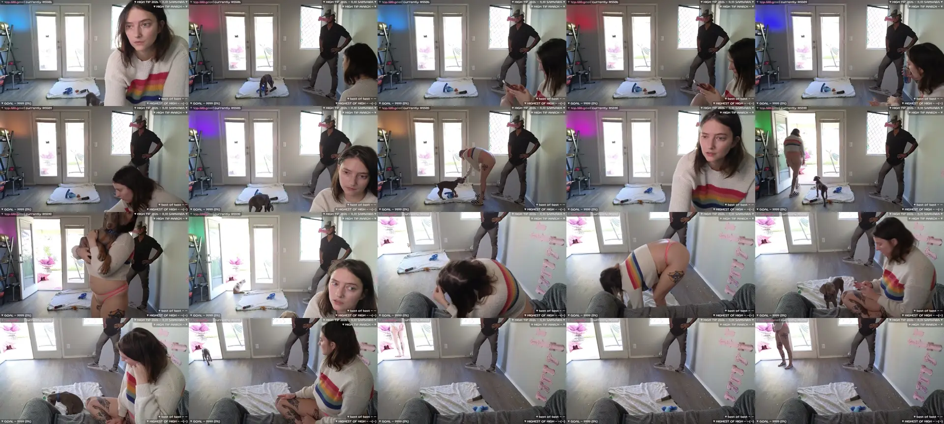 meowz photo contact sheet