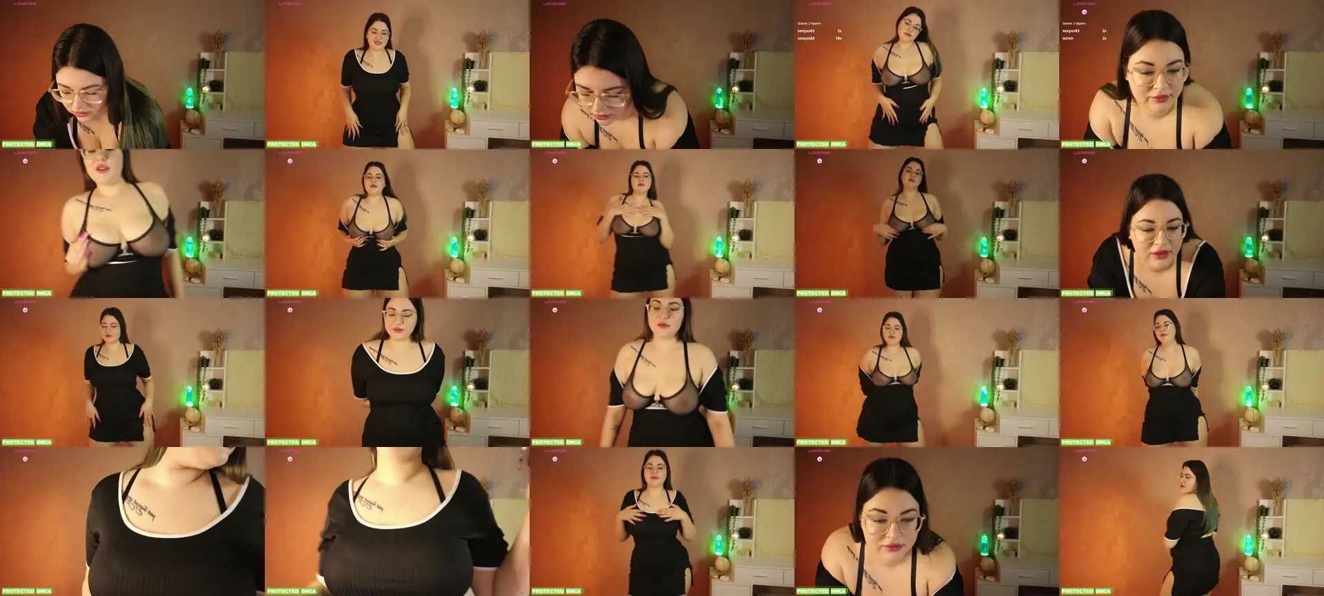 Sunflower0700 photo contact sheet