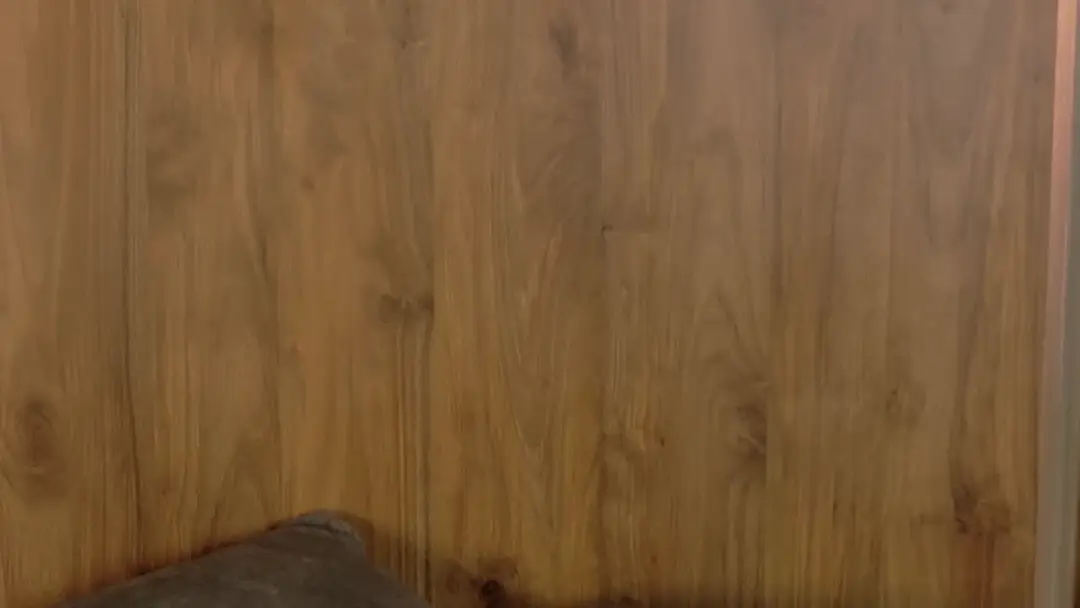 Casandra_bus show preview