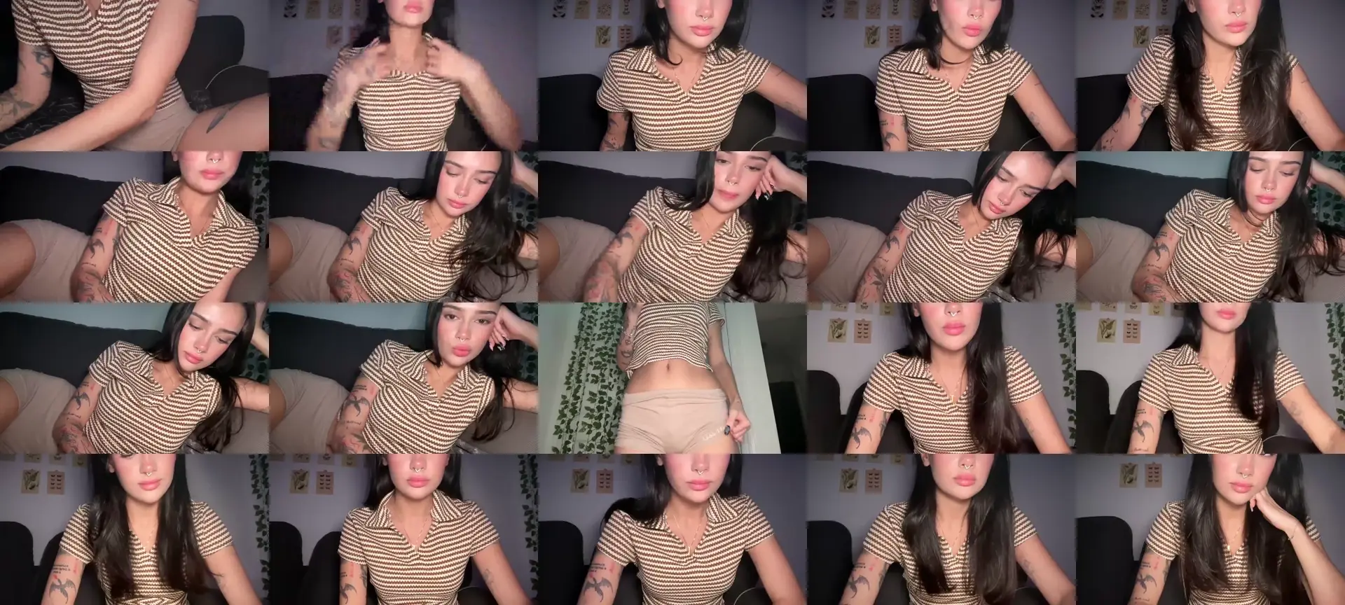 mayflowers photo contact sheet