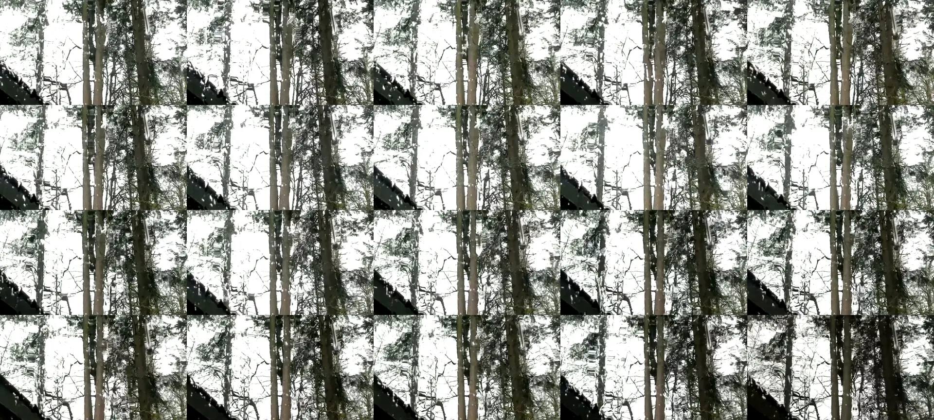 TestCam97 photo contact sheet