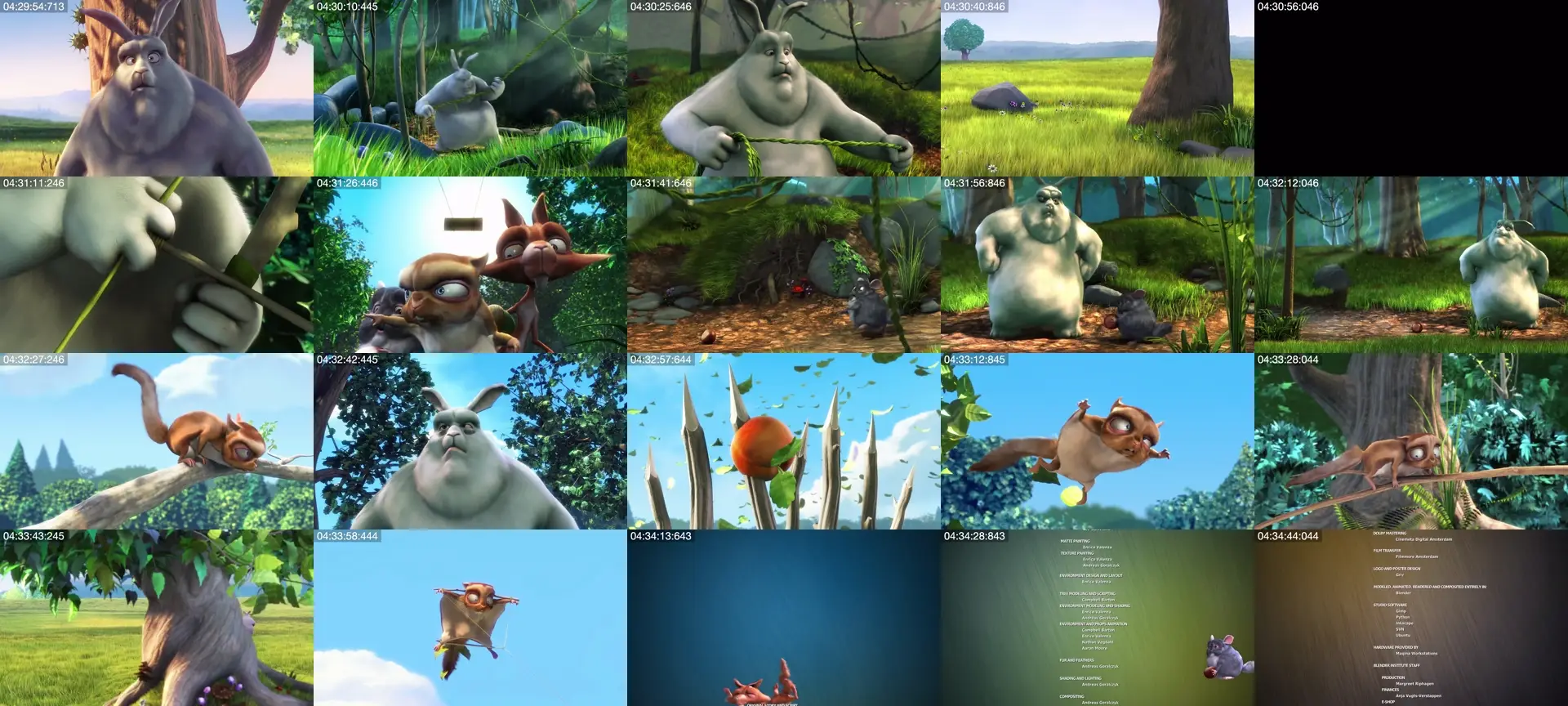 TestCam99 photo contact sheet