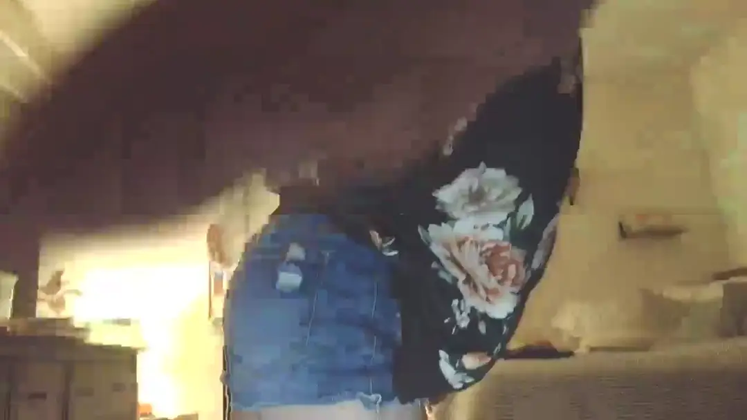 ViviFox1 show preview