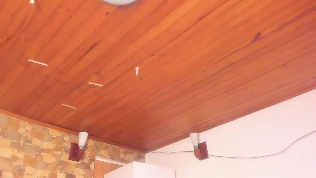 Video #28156