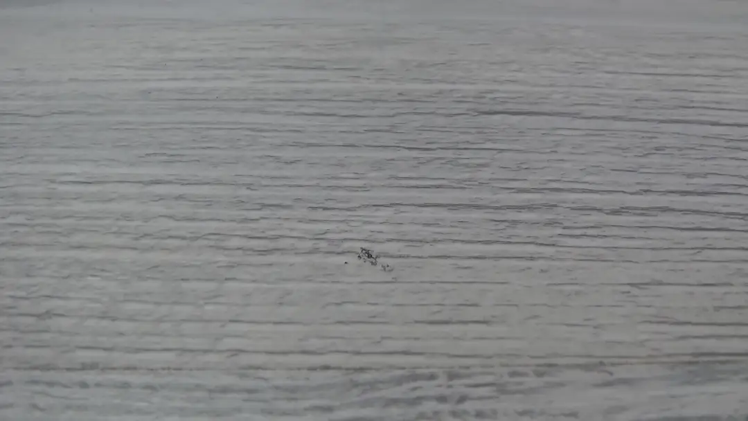 Love_kylie show preview