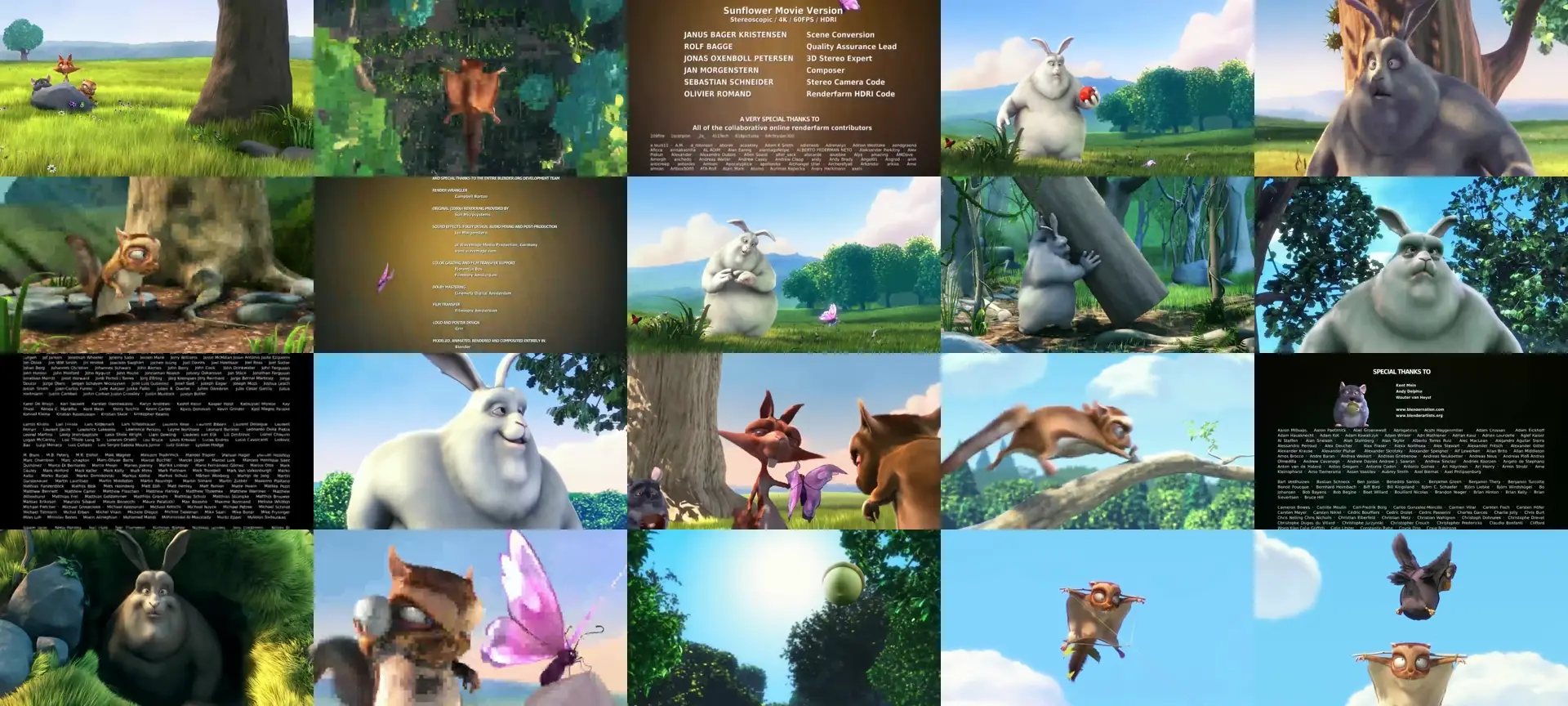 TestCam2000 photo contact sheet