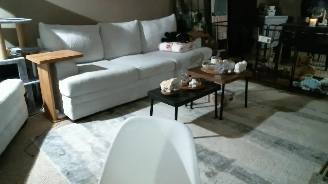 CzySweetPea show preview