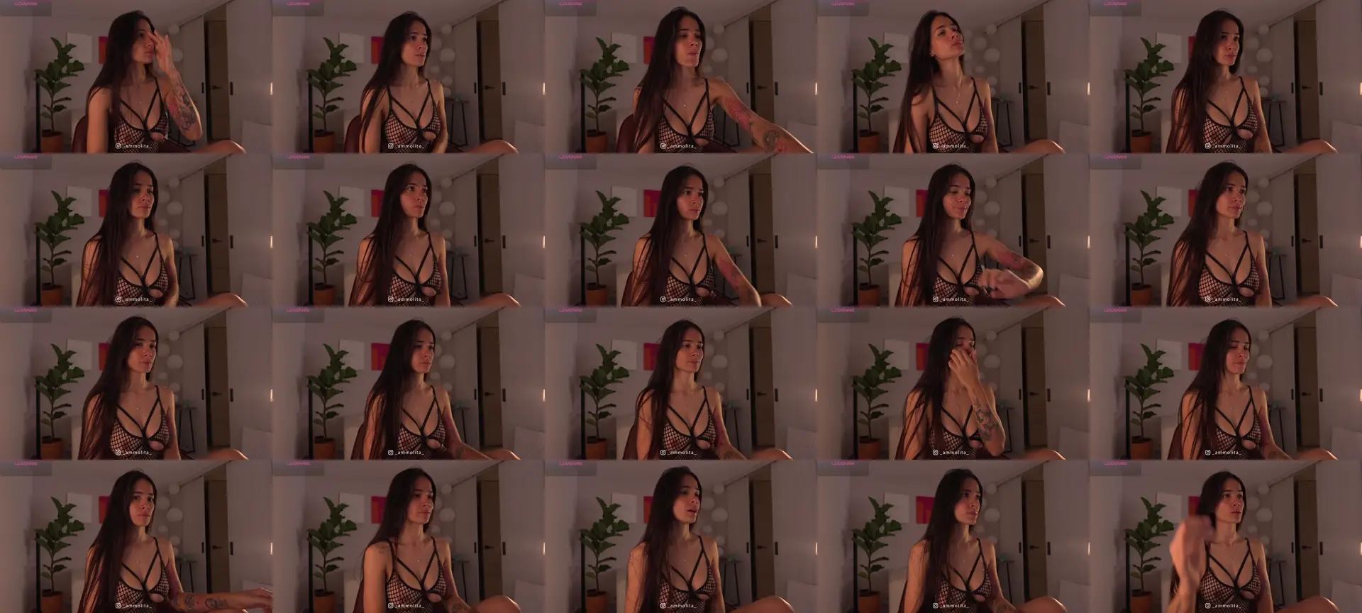 Ammolita photo contact sheet