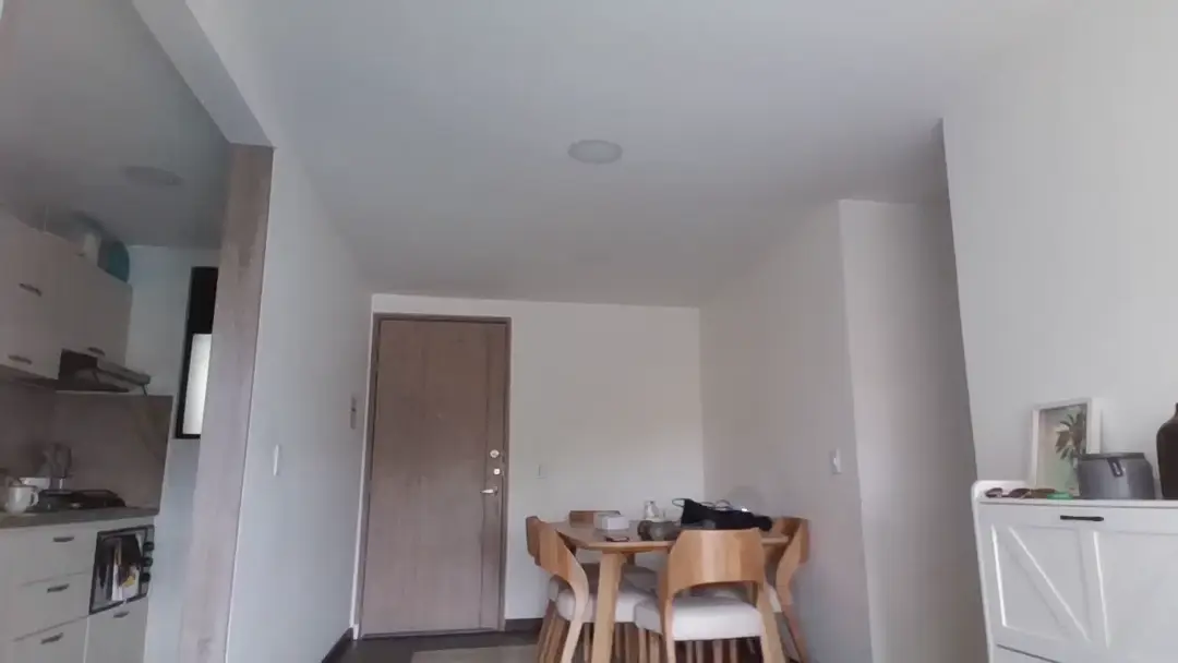 SharonHarriso show preview