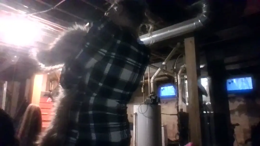 Sugarfixxx show preview