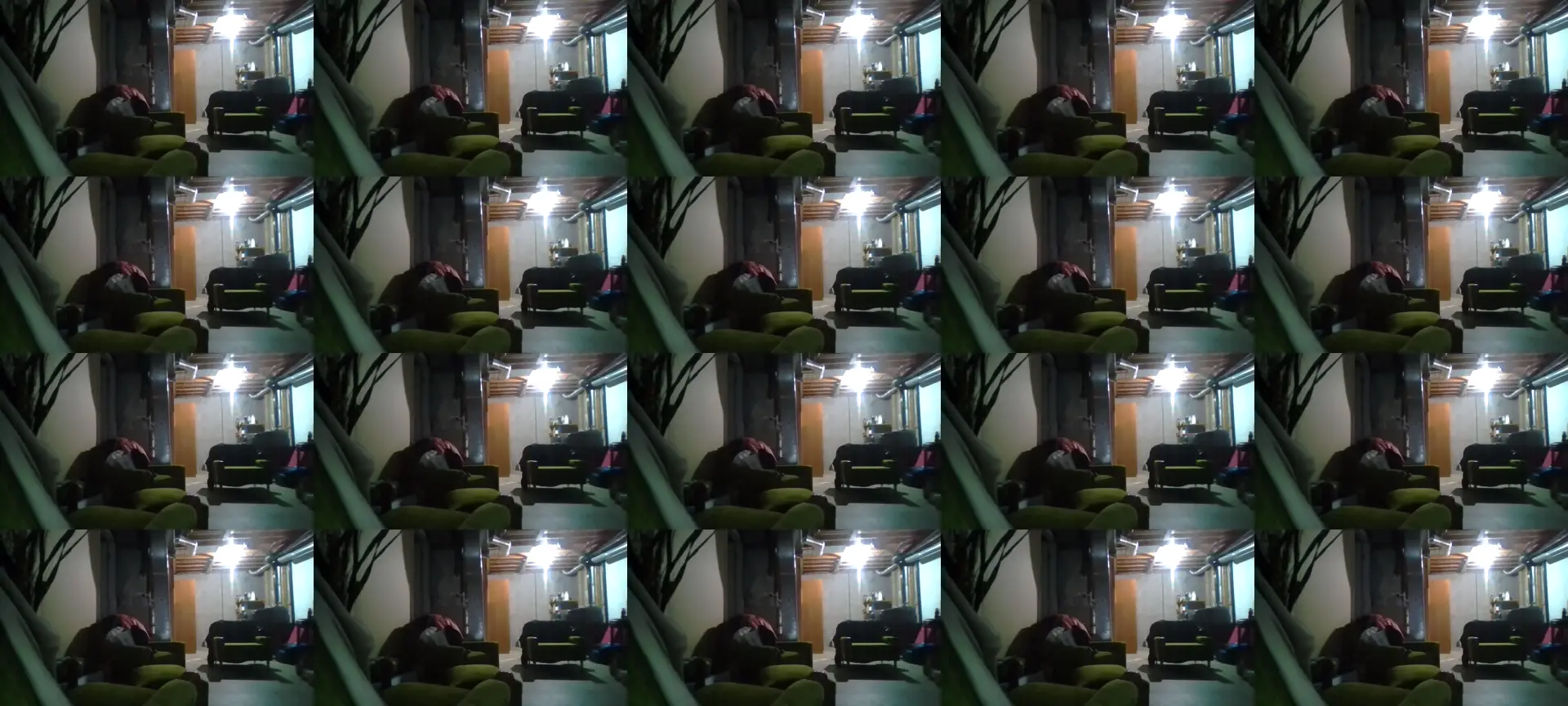 lillybkoko photo contact sheet