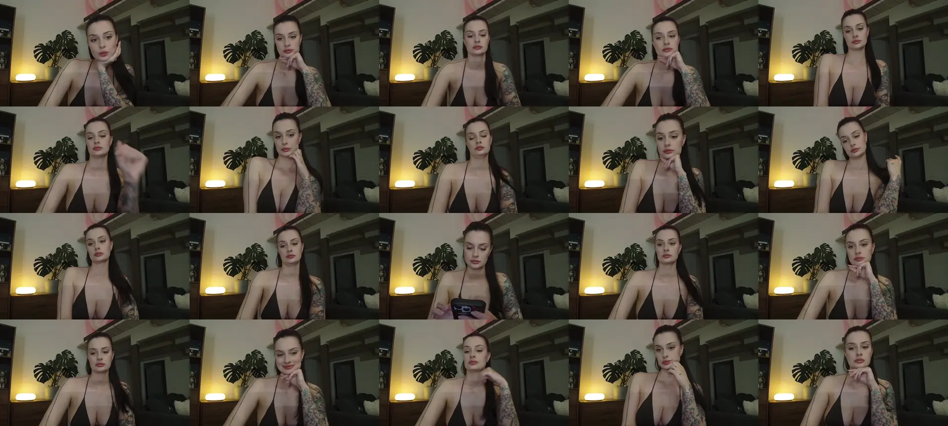 LucyVet photo contact sheet