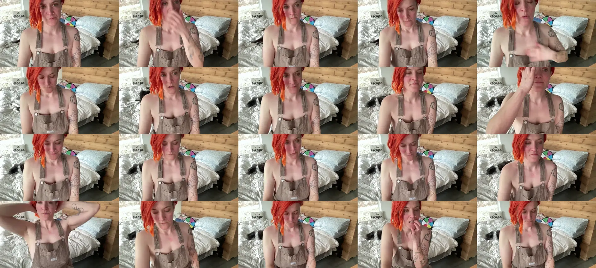 PurrtyMetal photo contact sheet