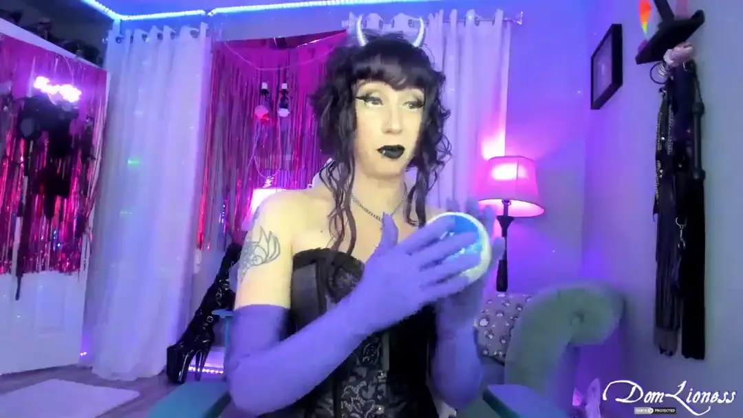 DomLioness show preview