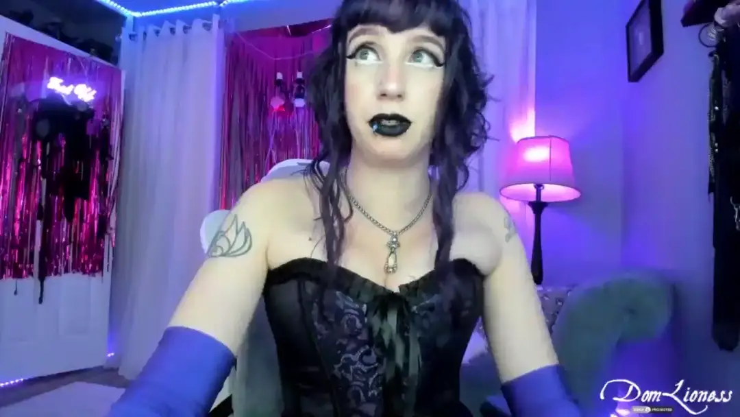 DomLioness show preview