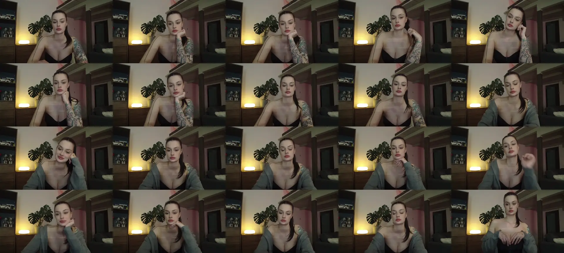 LucyVet photo contact sheet