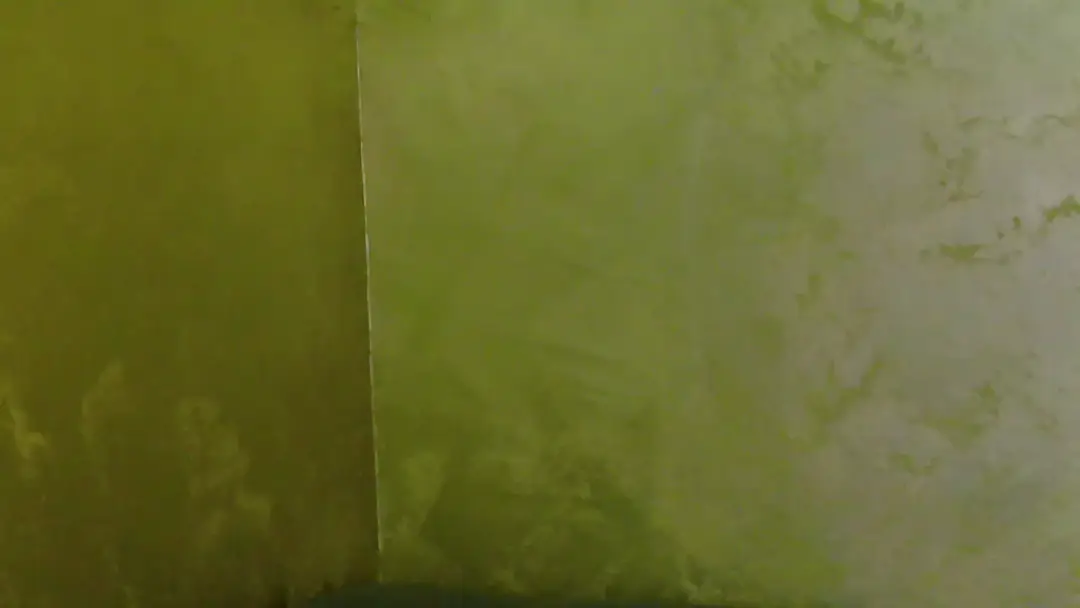 OlivyaMoon video #105893