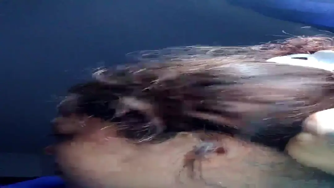 Video #108185 by Shanel_bigass