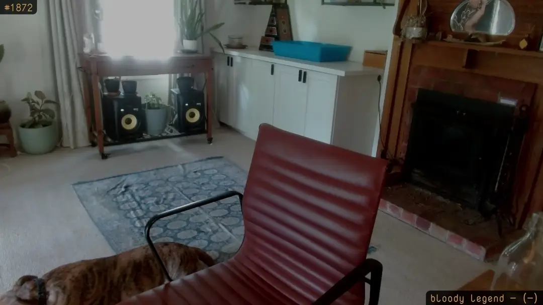 honeytits_ video #109471