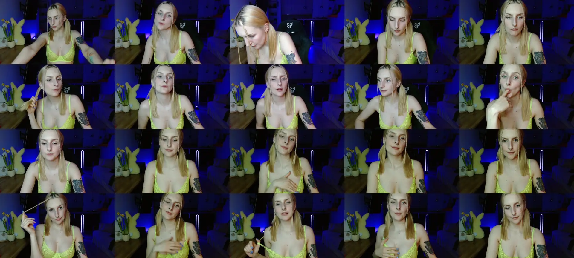 IlusionCat photo contact sheet