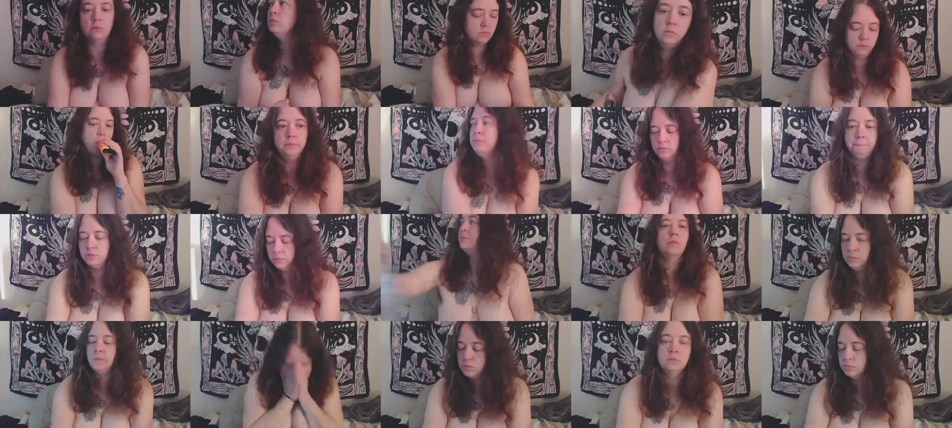 SolEcho photo contact sheet