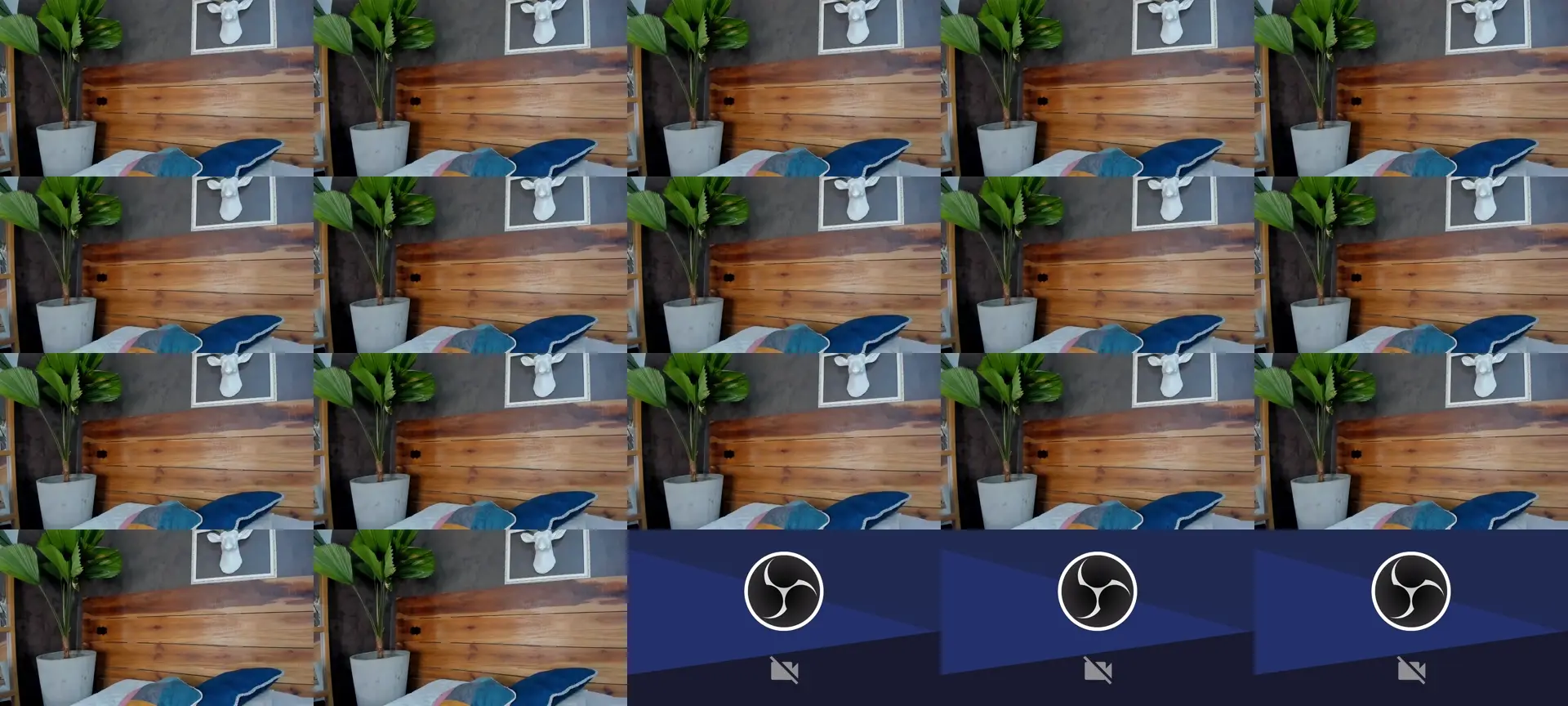 Alexawalker01 photo contact sheet