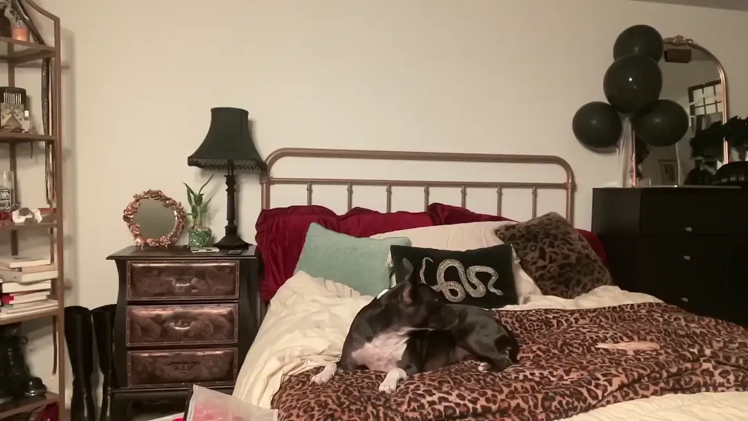 MystyWaterz video #117236