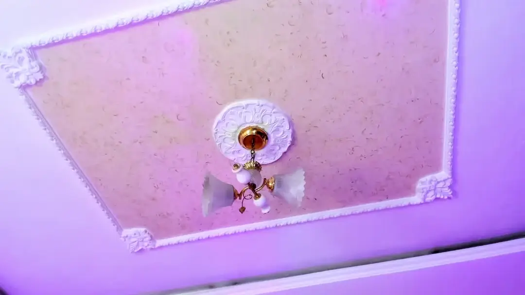 EliSander show preview