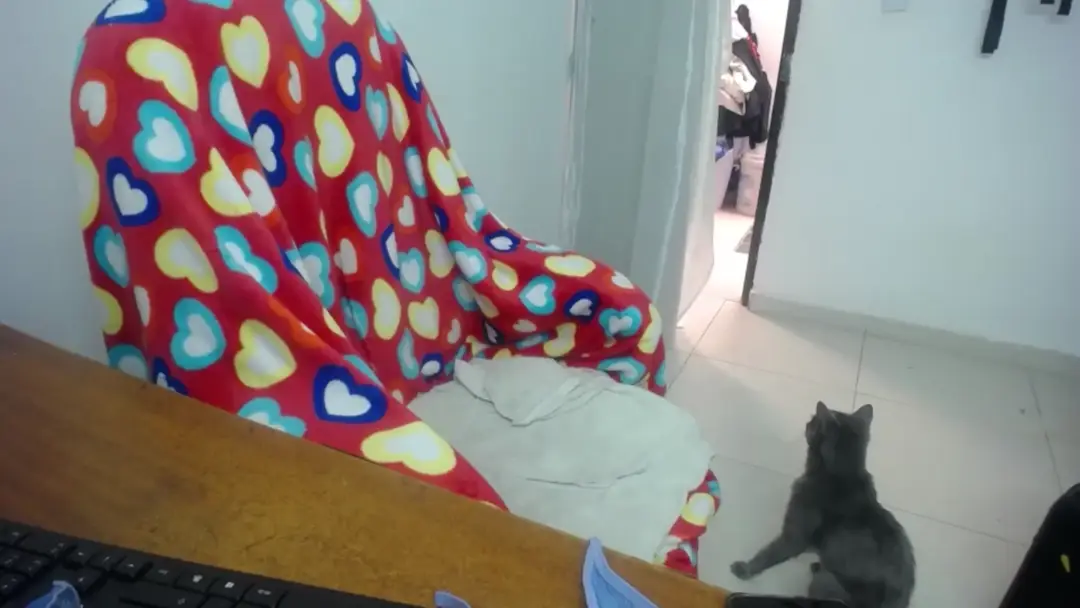 Susuya_doll show preview