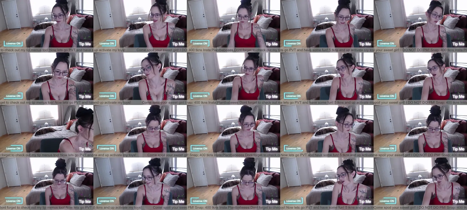 Plantbabeee photo contact sheet