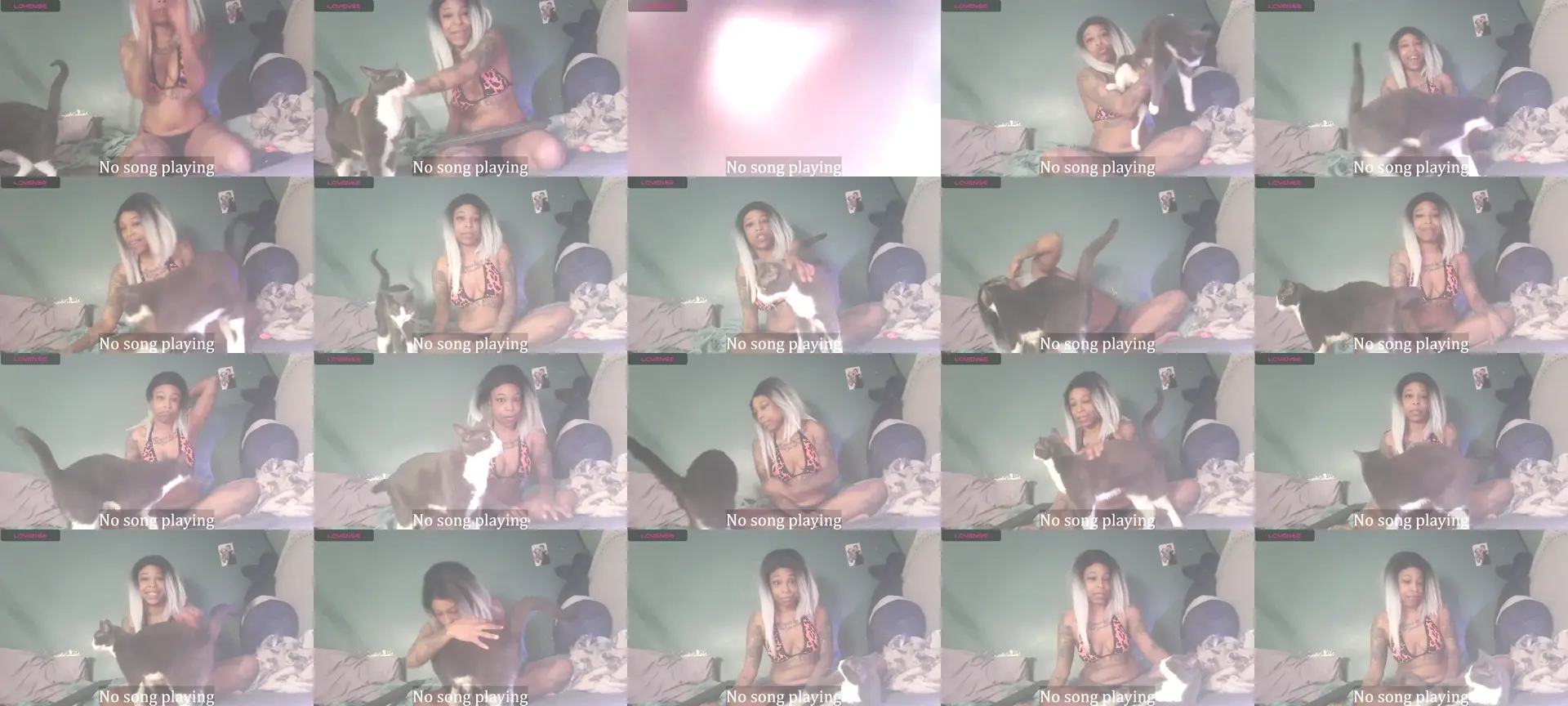 StellaDallas photo contact sheet