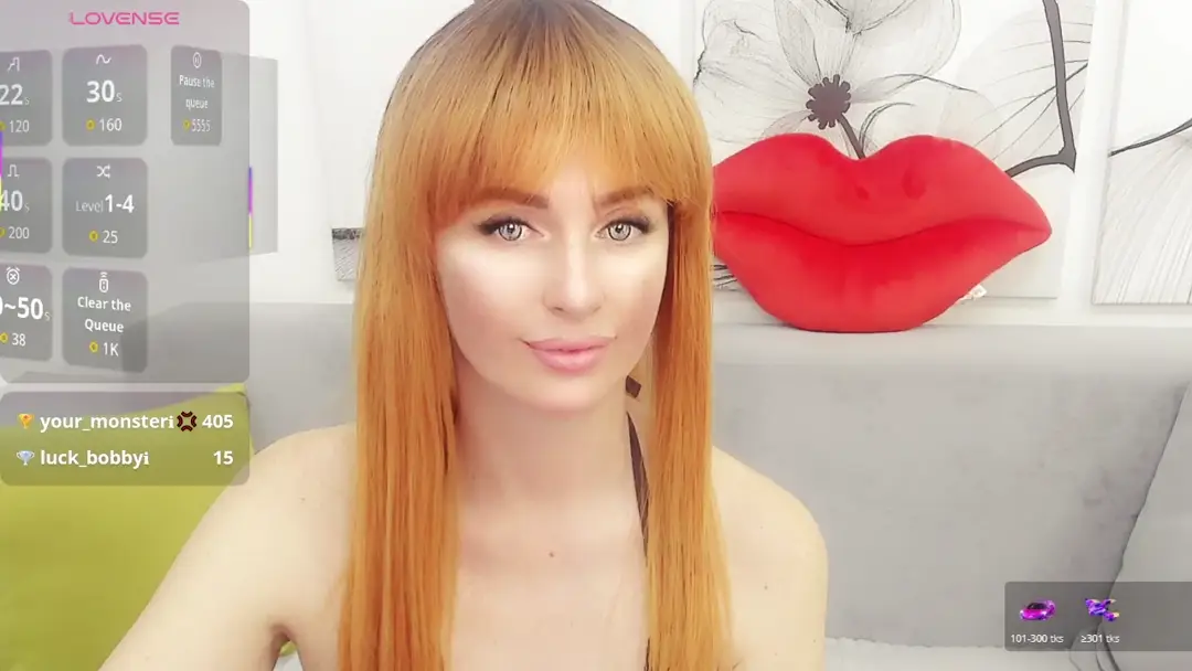 VitaCraft_ video #120649