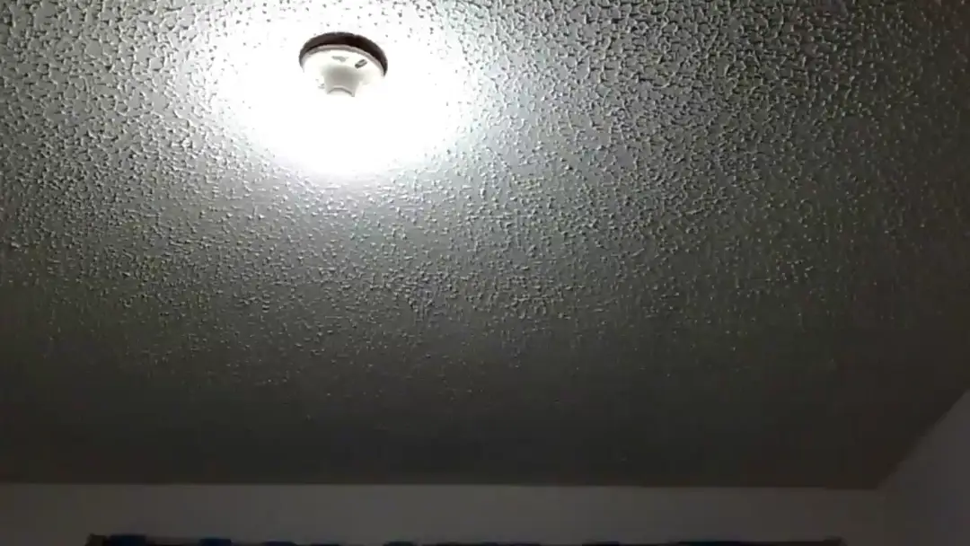 Putinurse show preview