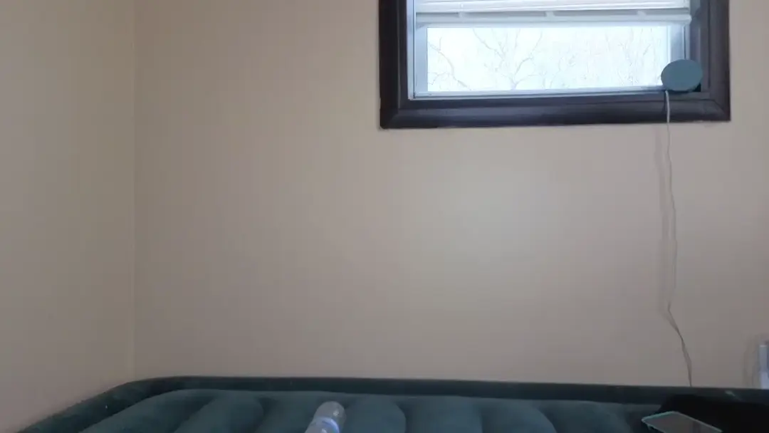 Tillymarie show preview