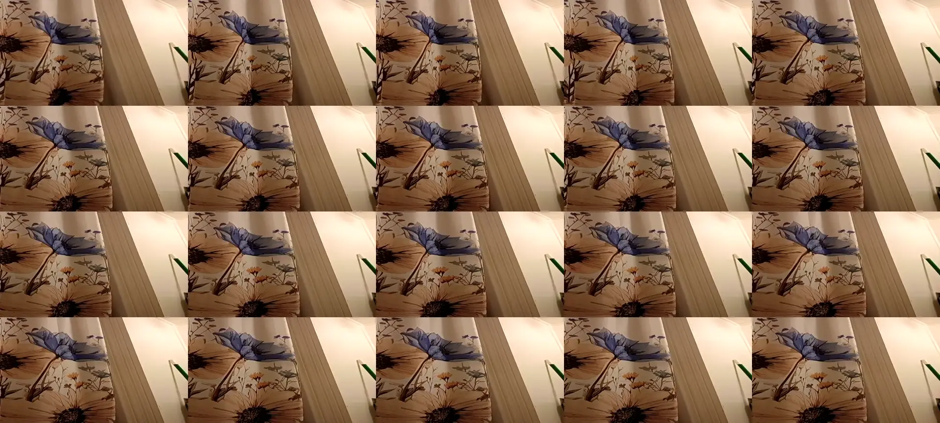 meowzer7771 photo contact sheet