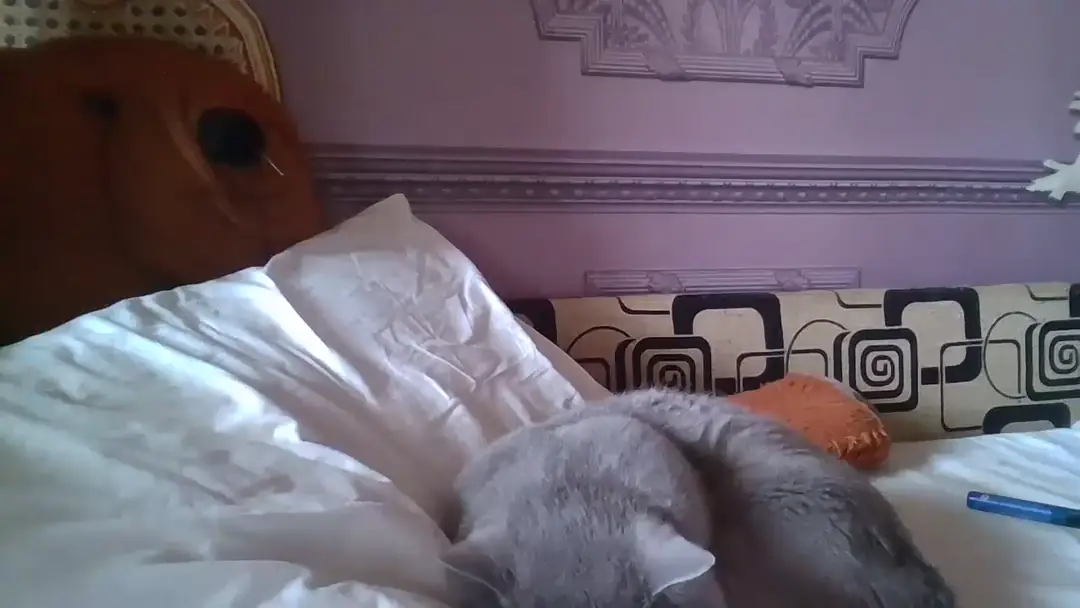 Video #140331 by KarinaDoll