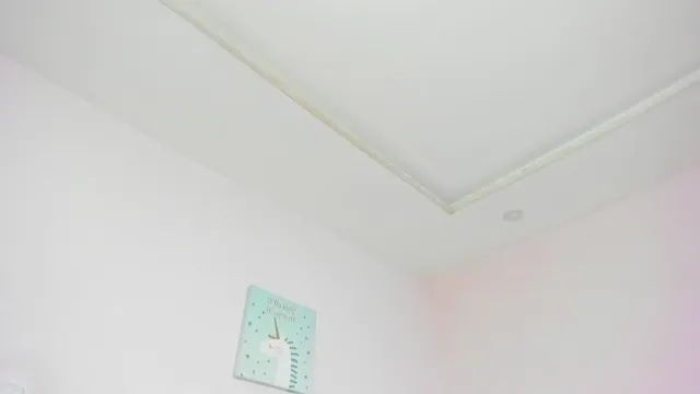 Paula_cossio video #150130